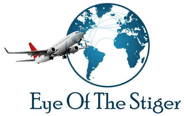 Eye of the Stiger Aviation Consultants LLC